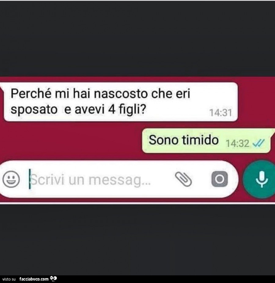 Perché mi hai nascosto che eri sposato e che hai 4 figli? Sono timido