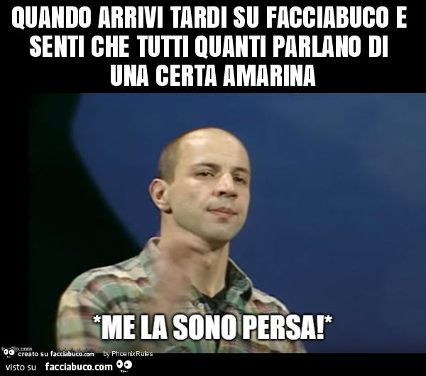 Quando arrivi tardi su facciabuco e senti che tutti quanti parlano di una certa amarina