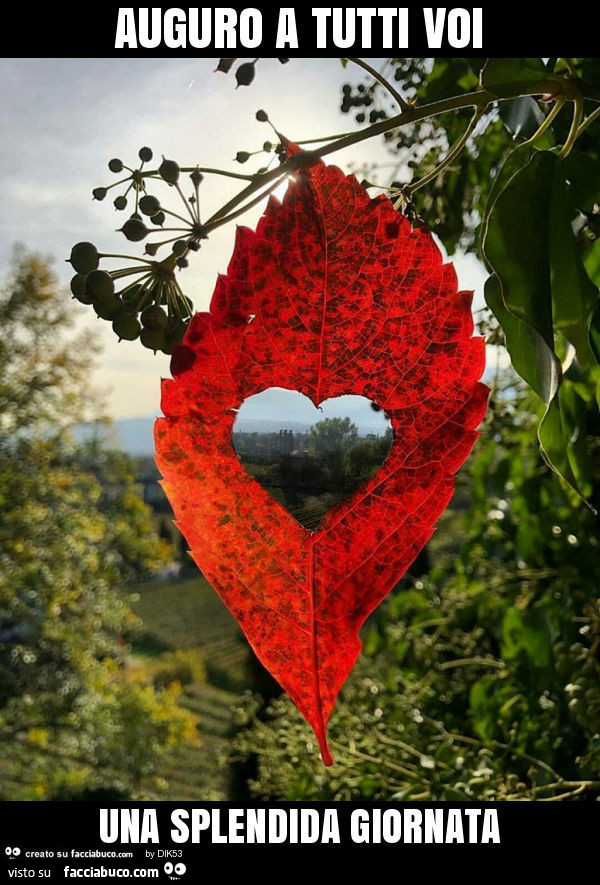 Auguro a tutti voi una splendida giornata
