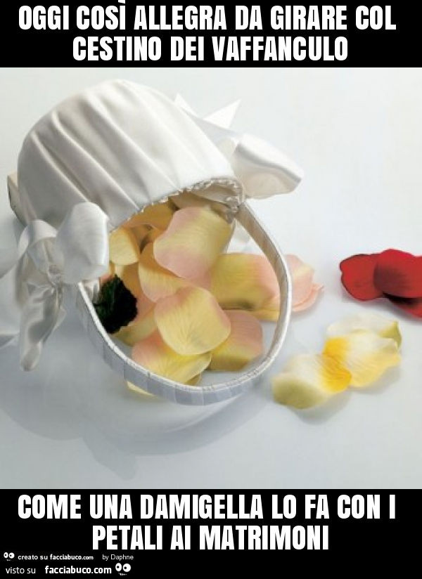 Oggi così allegra da girare col cestino dei vaffanculo come una damigella lo fa con i petali ai matrimoni