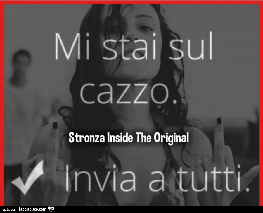 Mi stai sul cazzo. Invia a tutti