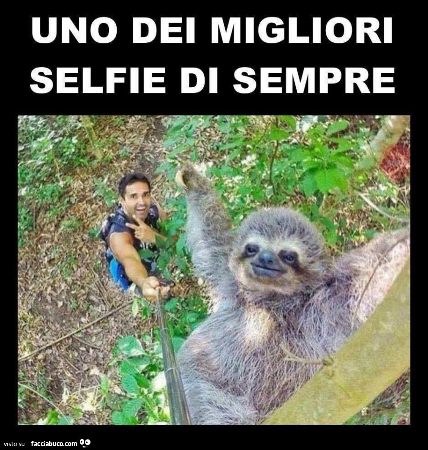 Uno dei migliori selfie di sempre. E il bradipo saluta