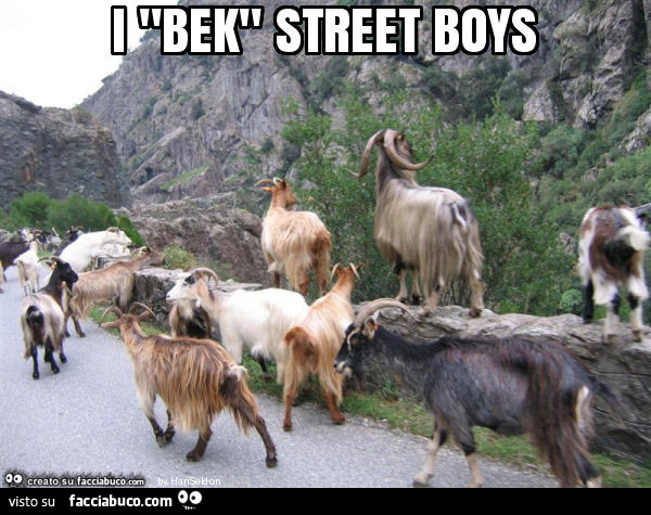 I "bek" street boys