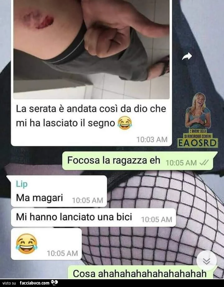 Vaccata
