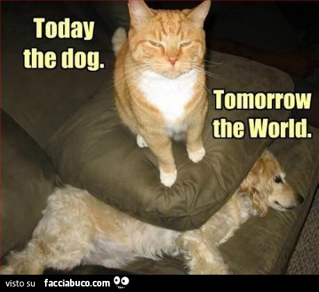 Today the dog. Tomorrow the world