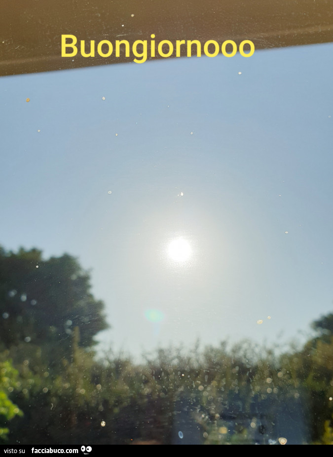 Sole. Buongiorno