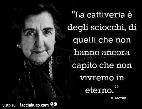 La cattiveria è degli sciocchi, di quelli che non hanno ancora capito che non vivremo in eterno