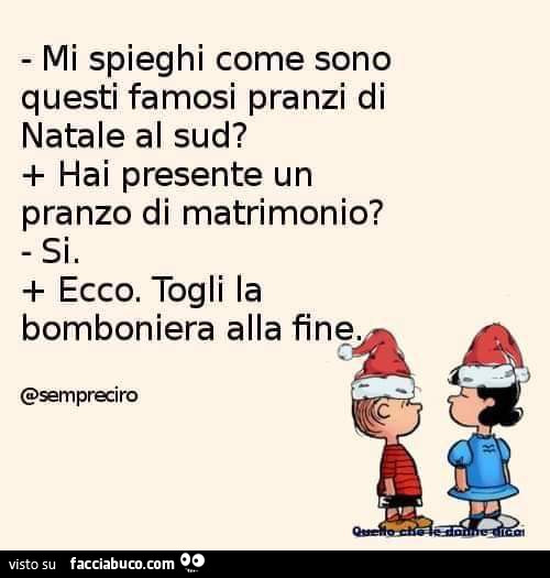 Mi spieghi come sono questi famosi pranzi di natale al sud? Hai presente un pranzo di matrimonio? Si. Ecco. Togli la bomboniera alla fine