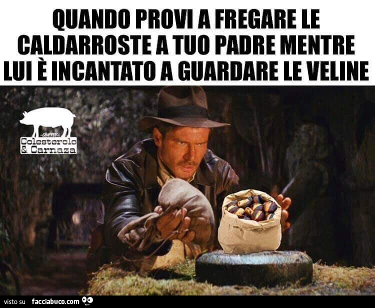 Vaccata