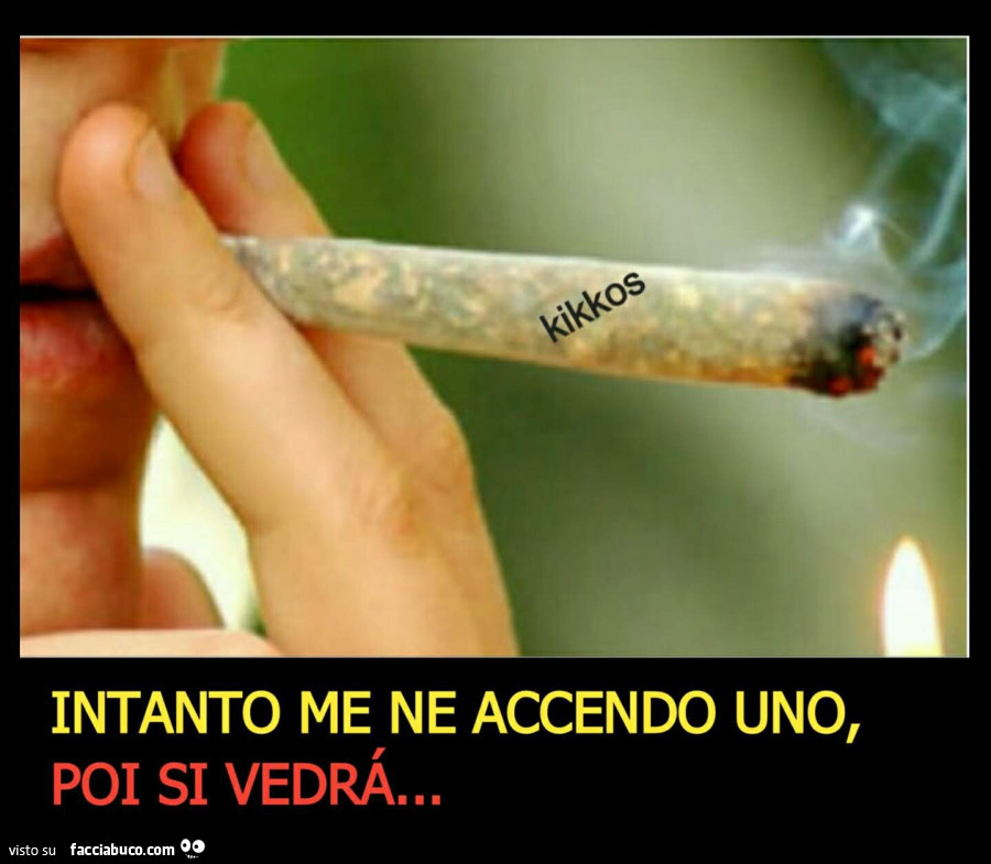 Vaccata