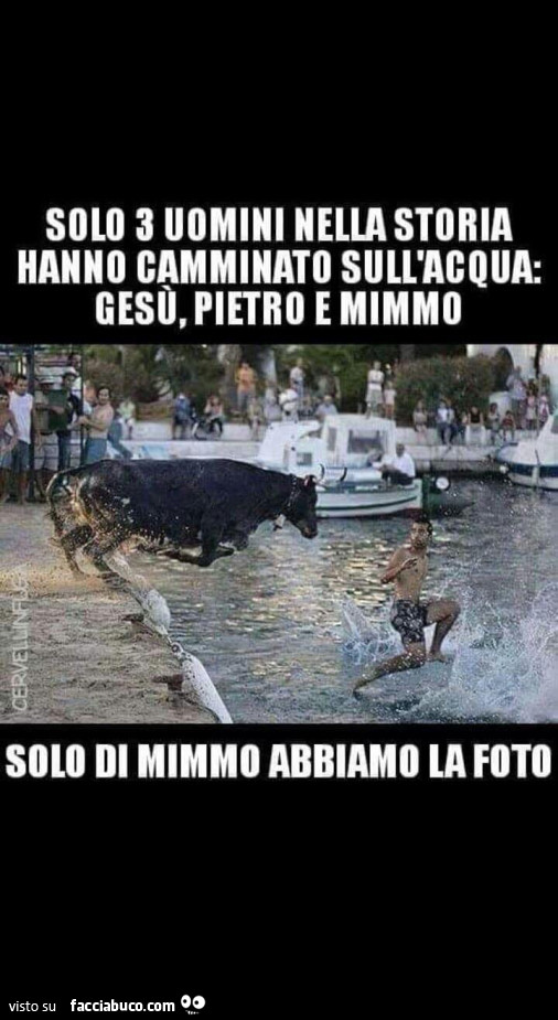 hbw9g5kfbs-solo-3-uomini-nella-storia-hanno-camminato-sull-acqua-gesu-pietro-e-mimmo-solo_b.jpg