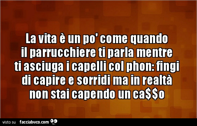 La vita è un po' come quando il parrucchiere ti parla mentre ti asciuga i capelli col phon: fingi di capire e sorridi ma in realtà non stai capendo un cazzo