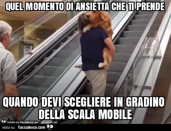 Quel momento di ansietta che ti prende quando devi scegliere in gradino della scala mobile