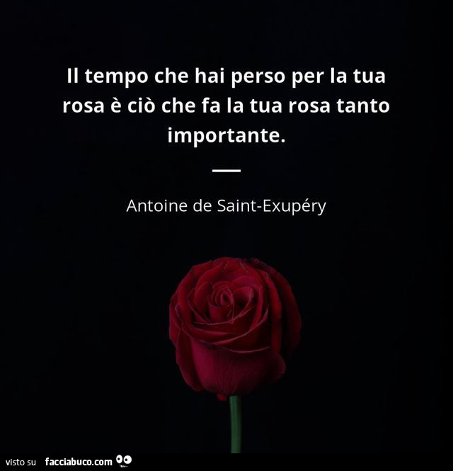 Il tempo che hai perso per la tua rosa è ciò che fa la tua rosa tanto importante. Antoine de Saint-Exupéry