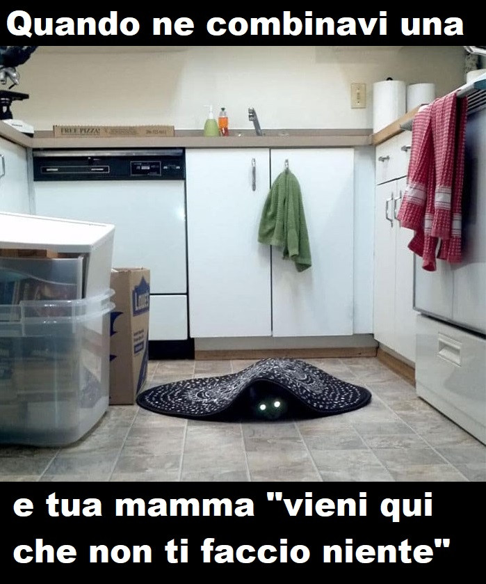 Vaccata