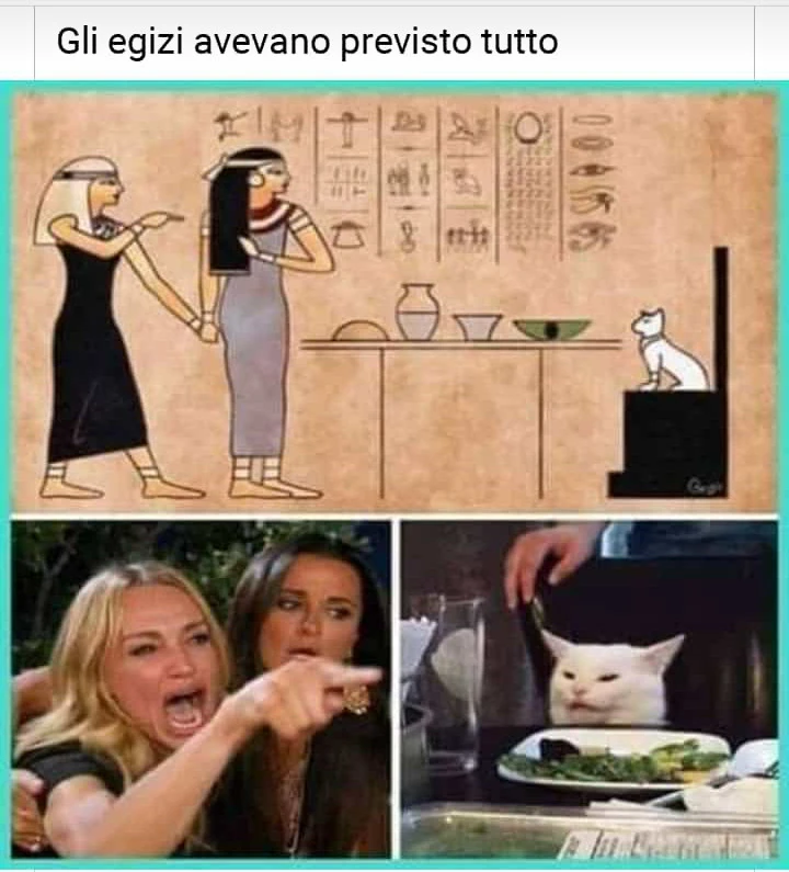 Vaccata