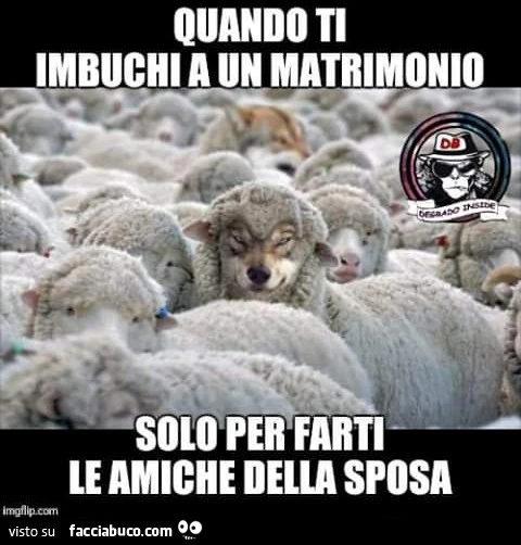 Quando ti imbuchi a un matrimonio solo per farti le amiche sposa