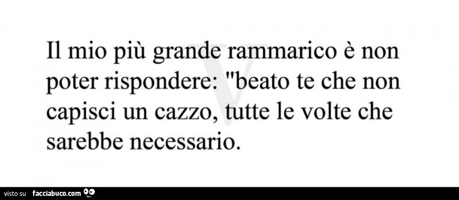 Il mio più grande rammarico è non poter rispondere: beato te che non capisci un cazzo, tutte le volte che sarebbe necessario