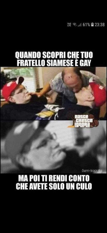 Gemelli siamesi