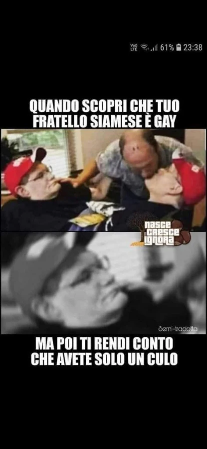 Gemelli siamesi