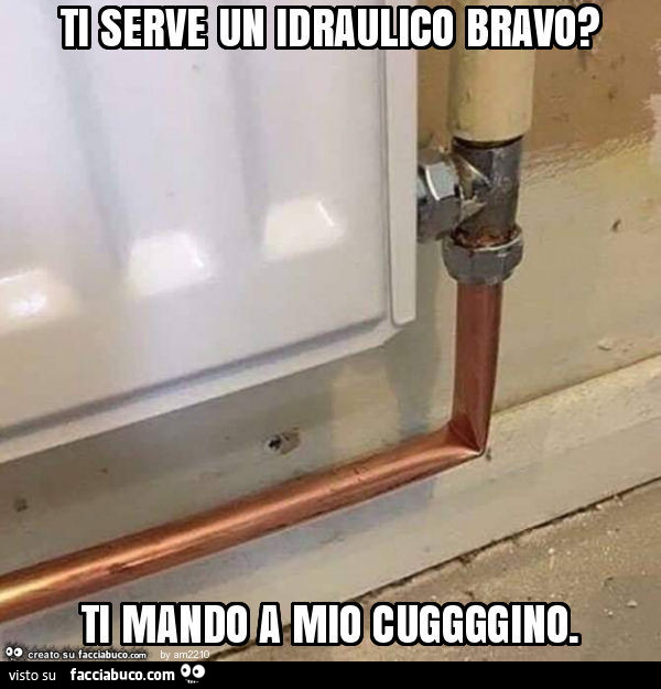 Ti serve un idraulico bravo? Ti mando a mio cuggggino