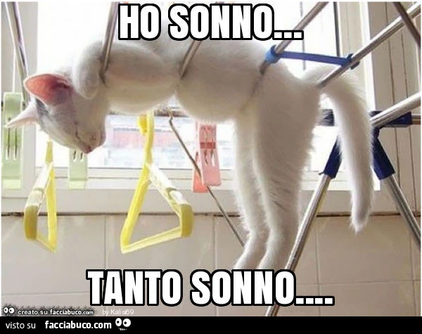 Ho sonno&hellip; tanto sonno
