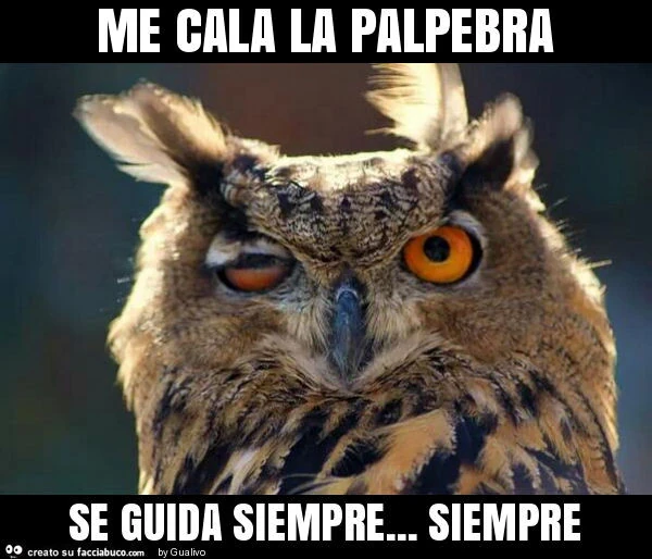 Me cala la palpebra se guida siempre&hellip; siempre
