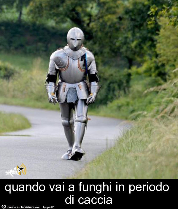 Quando vai a funghi in periodo di caccia