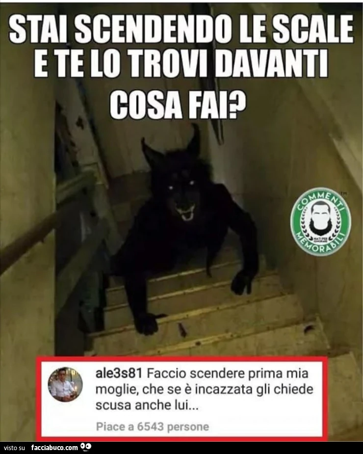 Stai scendendo le scale e te lo trovi davanti cosa fai? Faccio scendere prima mia moglie, che se è incazzata gli chiede scusa anche lui
