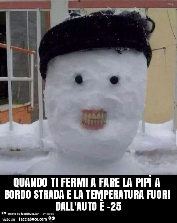 Quando ti fermi a fare la pipì a bordo strada e la temperatura fuori dall'auto è -25
