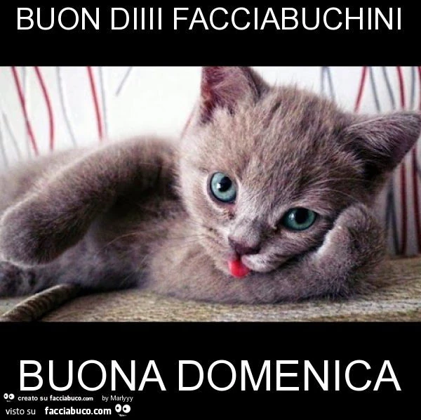 Buon diiii facciabuchini buona domenica