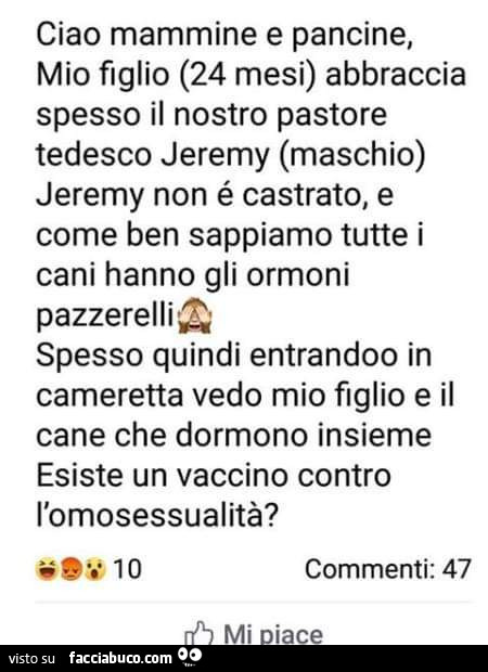 Ciao mammine e pancine, mio figlio (24 mesi) abbraccia spesso il nostro pastore tedesco jeremy (maschio) jeremy non é castrato, e come ben sappiamo tutte i cani hanno gli ormoni pazzerelli a spesso quindi entrando