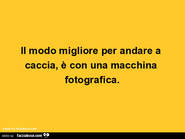 Il modo migliore per andare a caccia, è con una macchina fotografica