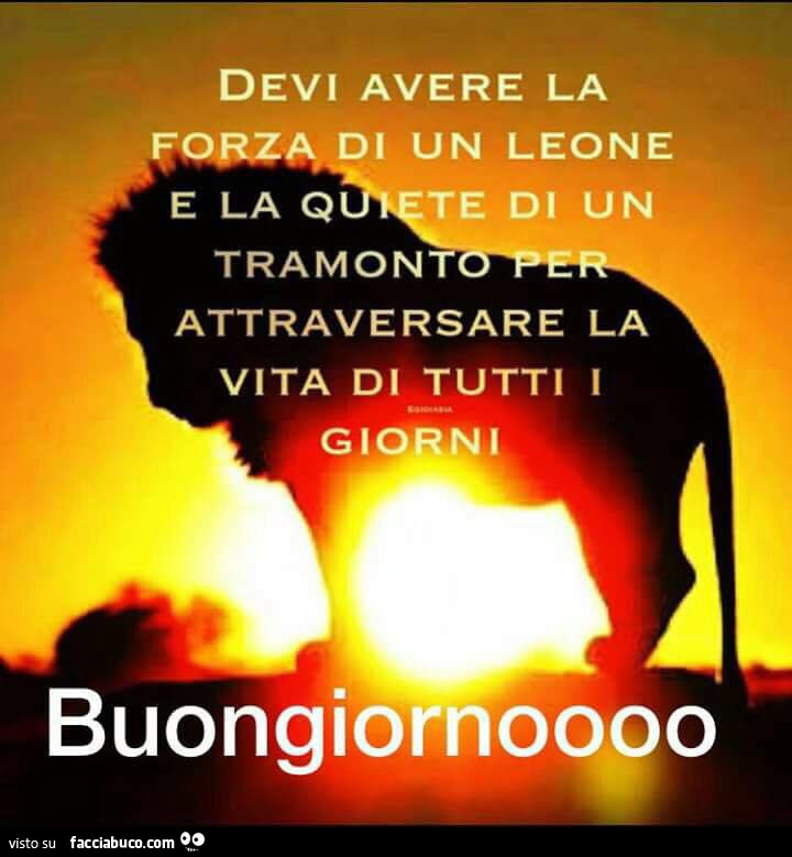Devi avere la forza di un leone e la quiete di un tramonto per attraversare la vita di tutti i giorni. Buongiorno