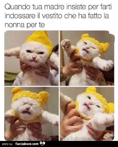 Vaccata