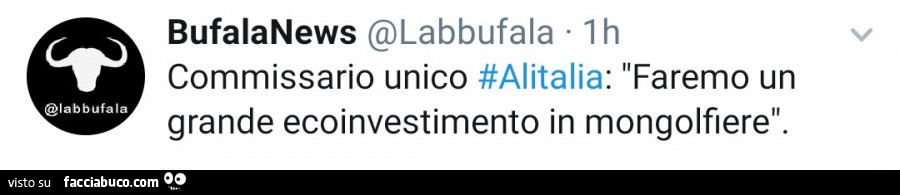Commissario unico Alitalia: faremo un unico grande ecoinvestimento in mongolfiere