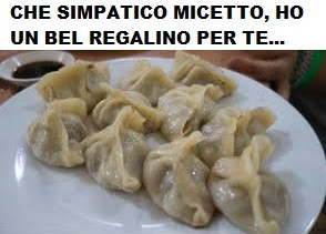Vaccata