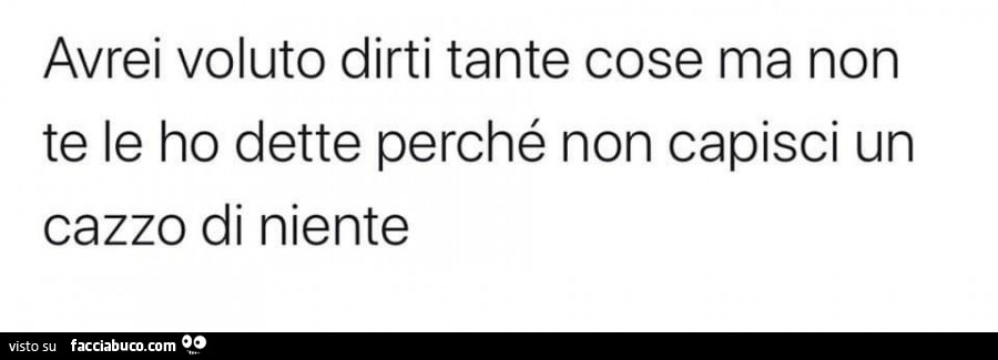 Avrei voluto dirti tante cose ma non te le ho dette perché non capisci un cazzo di niente