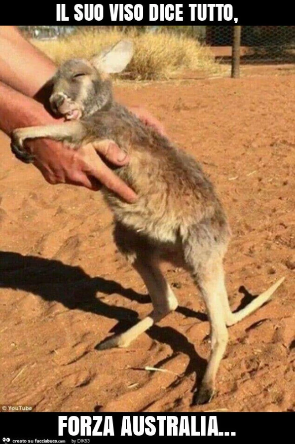 Il suo viso dice tutto, forza australia