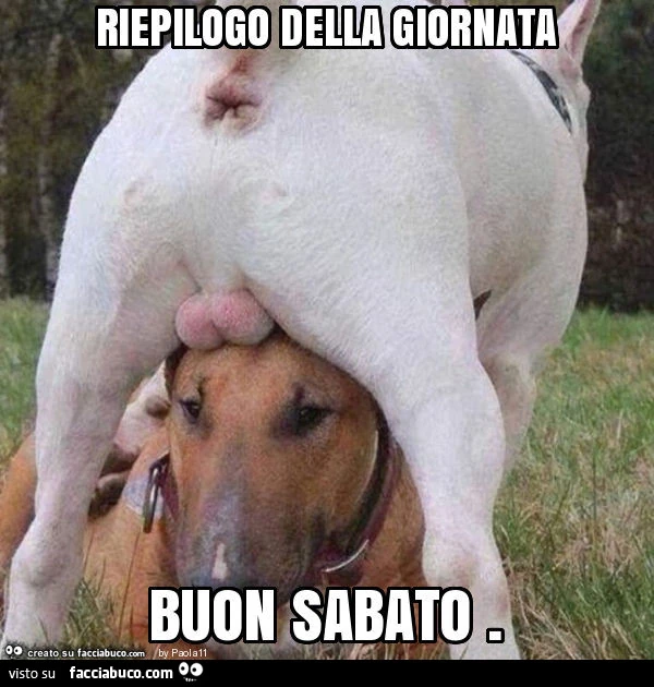 Riepilogo della giornata buon sabato