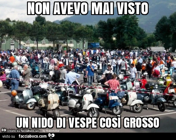 Non avevo mai visto un nido di vespe così grosso
