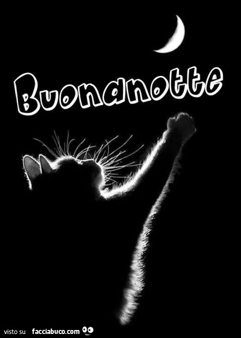 Gatto alla luna. Buonanotte