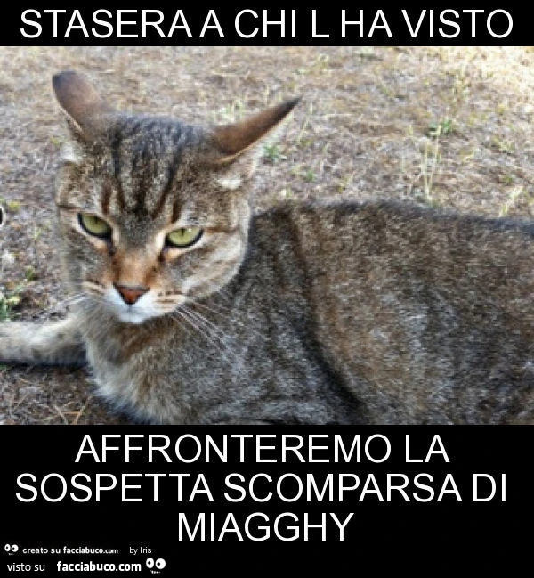 Stasera a chi l ha visto affronteremo la sospetta scomparsa di miagghy
