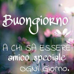 Le persone “speciali” sono quelle che ti comprendono… sono quelle persone che ti leggono dentro e che sentono i tuoi pensieri, e che sono capaci di regalarti con un gesto, quella serenità, la felicità che avevi dimenticato, sono quelle persone che 