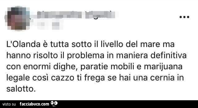 L'olanda è tutta sotto il livello del mare ma hanno risolto il problema in maniera definitiva con enormi dighe, paratie mobili e marijuana legale così cazzo ti frega se hai una cernia in salotto