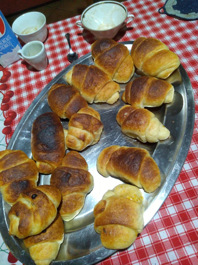 Vaccata