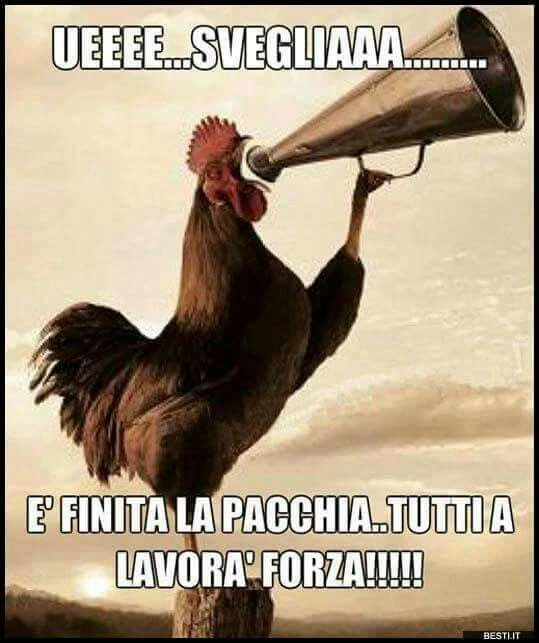 Vaccata