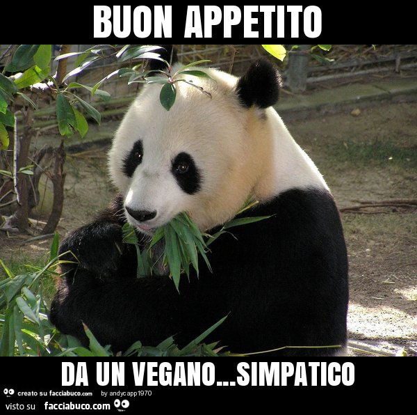 Buon appetito da un vegano… simpatico