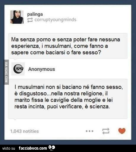 Ma senza porno e senza poter fare nessuna esperienza, i musulmani, come fanno a sapere come baciarsi o fare sesso? I musulmani non si baciano né fanno sesso, è disgustoso… nella nostra religione, il marito fissa le caviglie della moglie e lei resta