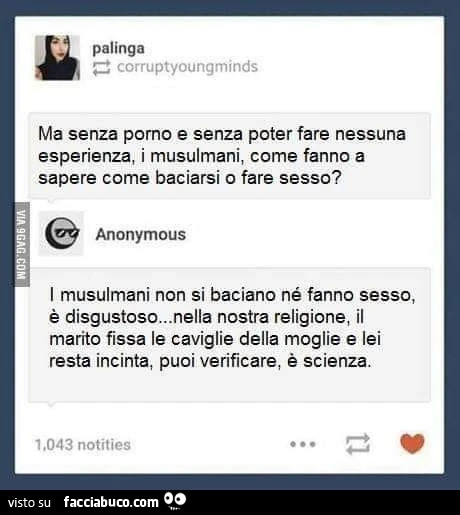 Ma senza porno e senza poter fare nessuna esperienza, i musulmani, come fanno a sapere come baciarsi o fare sesso? I musulmani non si baciano né fanno sesso, è disgustoso&hellip; nella nostra religione, il marito fissa le caviglie della moglie e lei resta